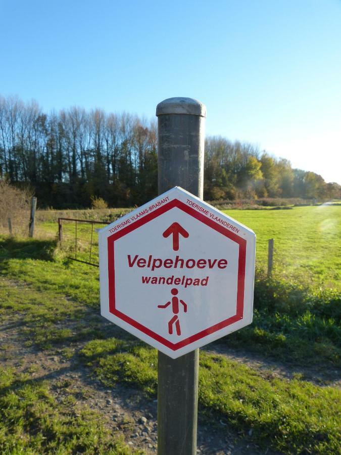 BierbeekVelpe 55别墅 外观 照片